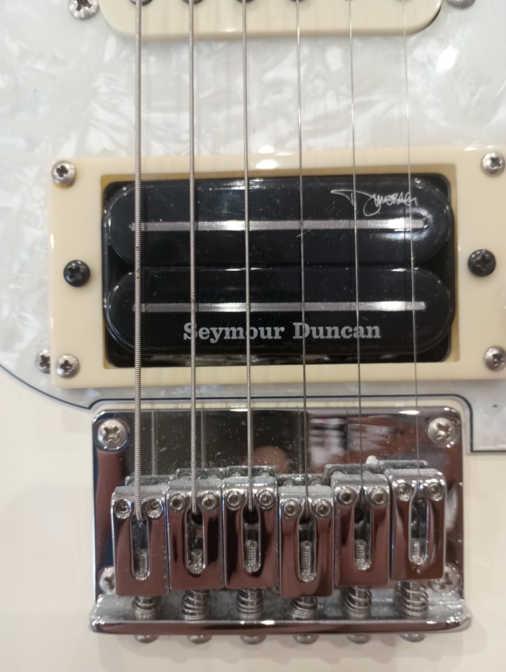 Fujigen fgn Odyssey modificada