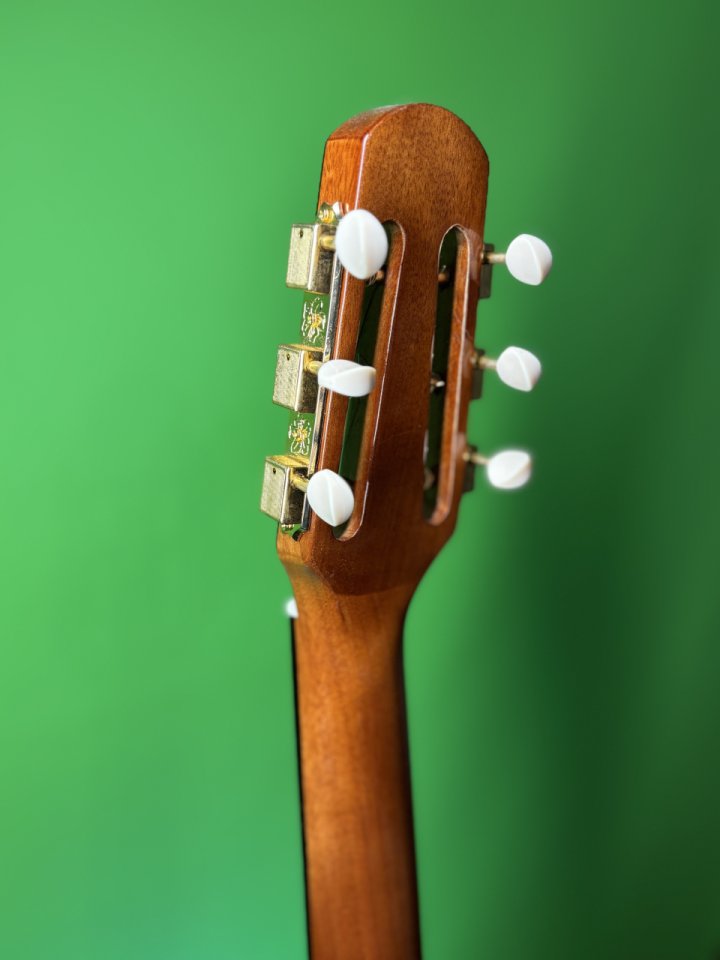 Richwood Hot Club Jazz RM-140 NT