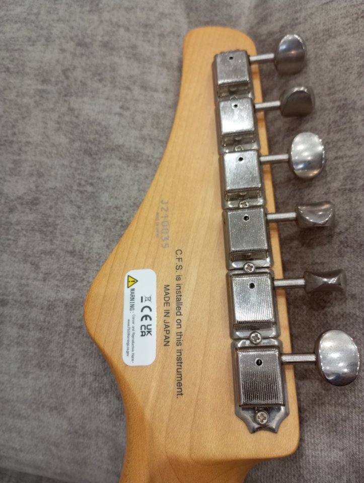 Fujigen fgn Odyssey modificada
