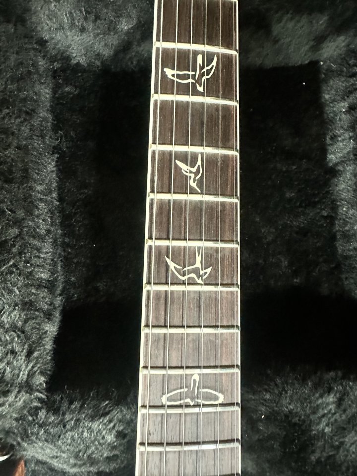 Paul reed Smith Modern Eagle 2 25th aniversario de segunda mano · Foto 5 de 5 · Girona
