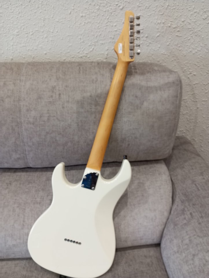 Fujigen fgn Odyssey modificada