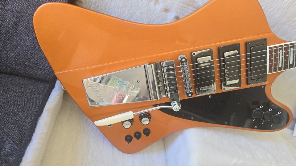 Gibson firebird skunk baxter