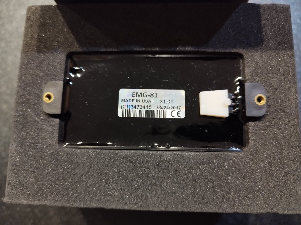 Pastilla EMG 81 -sin electronica-