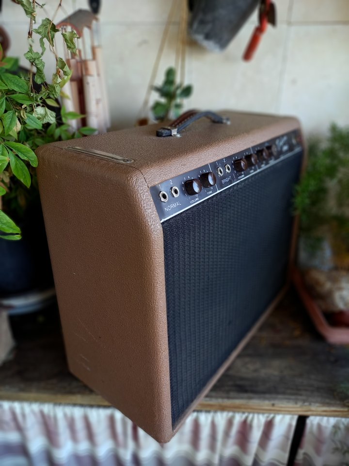 Fender Brownface Deluxe 6G3 de 1962! de segunda mano · Foto 2 de 10 · Madrid · 4500 €