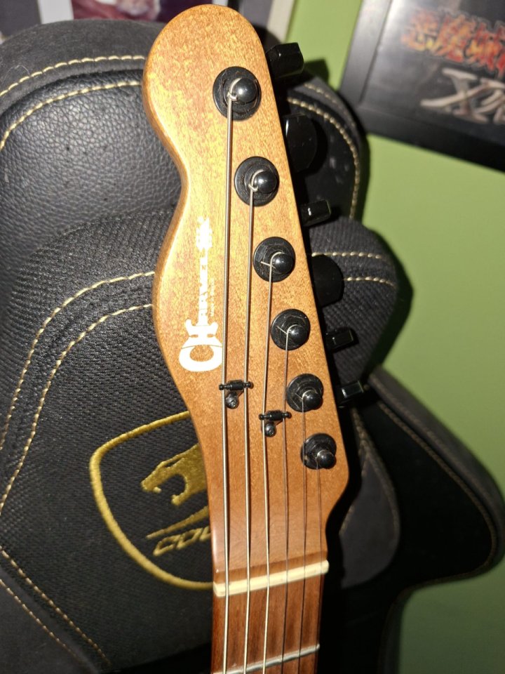 Charvel Pro-Mod So-Cal St.2 HH