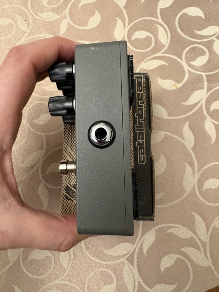 Catalinbread Belle Epoch Echoplex Tape Delay de segunda mano · Foto 4 de 6 · A Coruña · 180 €