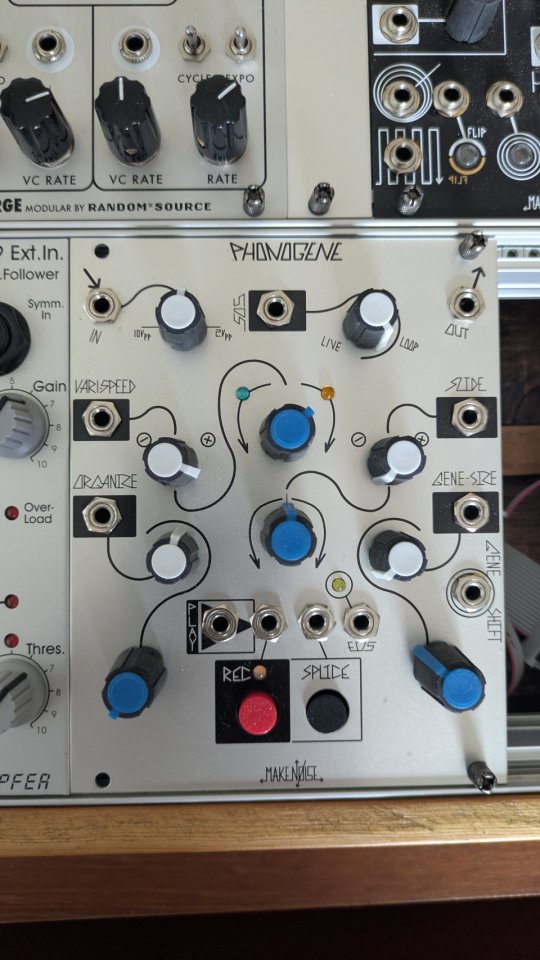 Make Noise Phonogene