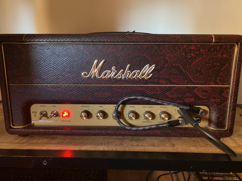 Marshall SV20 Snakeskin NAMM 2020