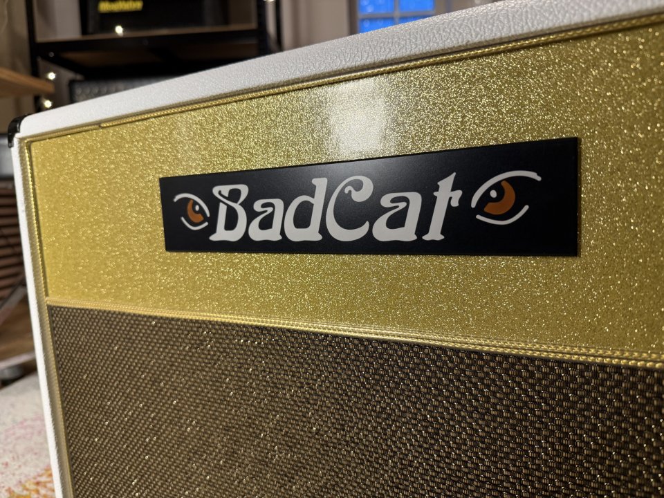 Pantalla Bad Cat 1x12