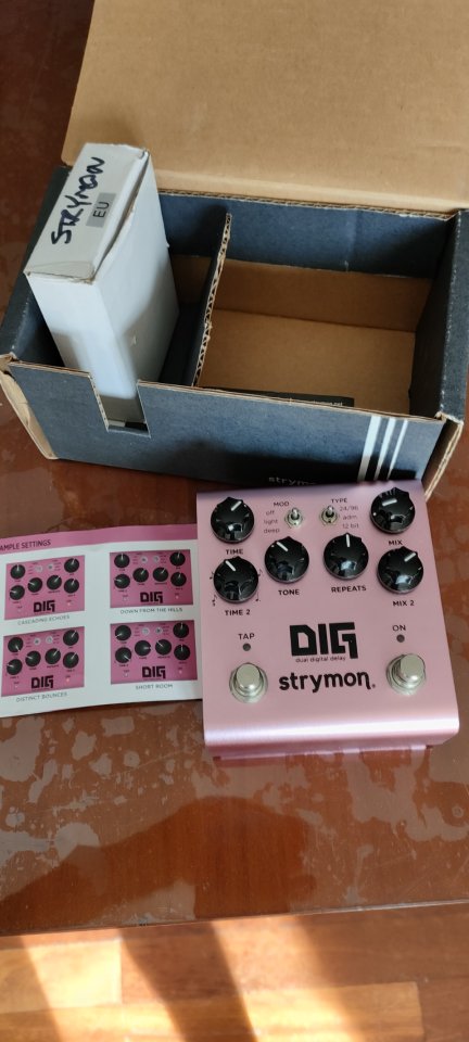 Strymon DIG V2