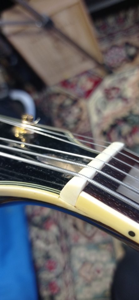 Fullerton tipo Gibson L5. (Envío incluido) de segunda mano · Foto 9 de 9 · A Coruña · 350 €
