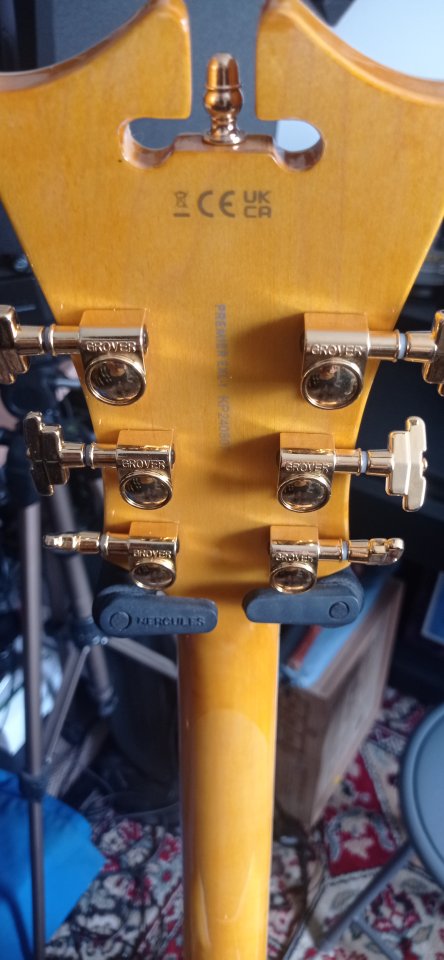 D'angelico premier EXL-1 de segunda mano · Foto 4 de 6 · A Coruña · 670 €