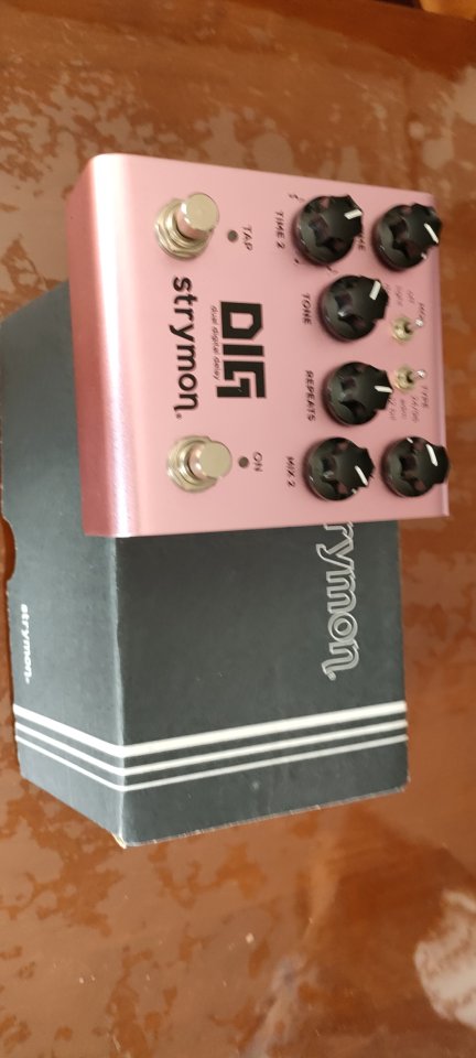 Strymon DIG V2