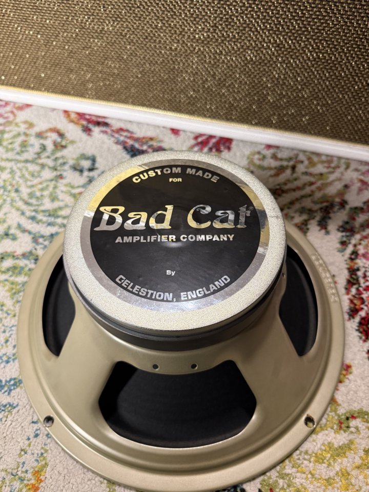 Pantalla Bad Cat 1x12