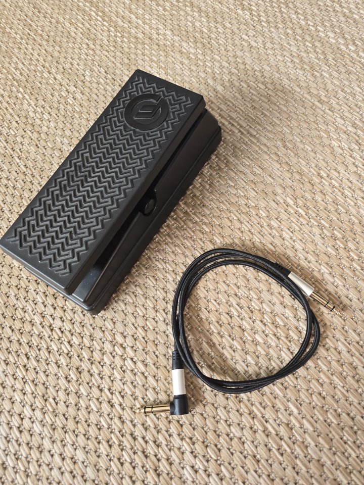 Kemper Profiler Stage + funda Kemper + pedal expresión de segunda mano · Foto 5 de 5 · Valencia · 950 €