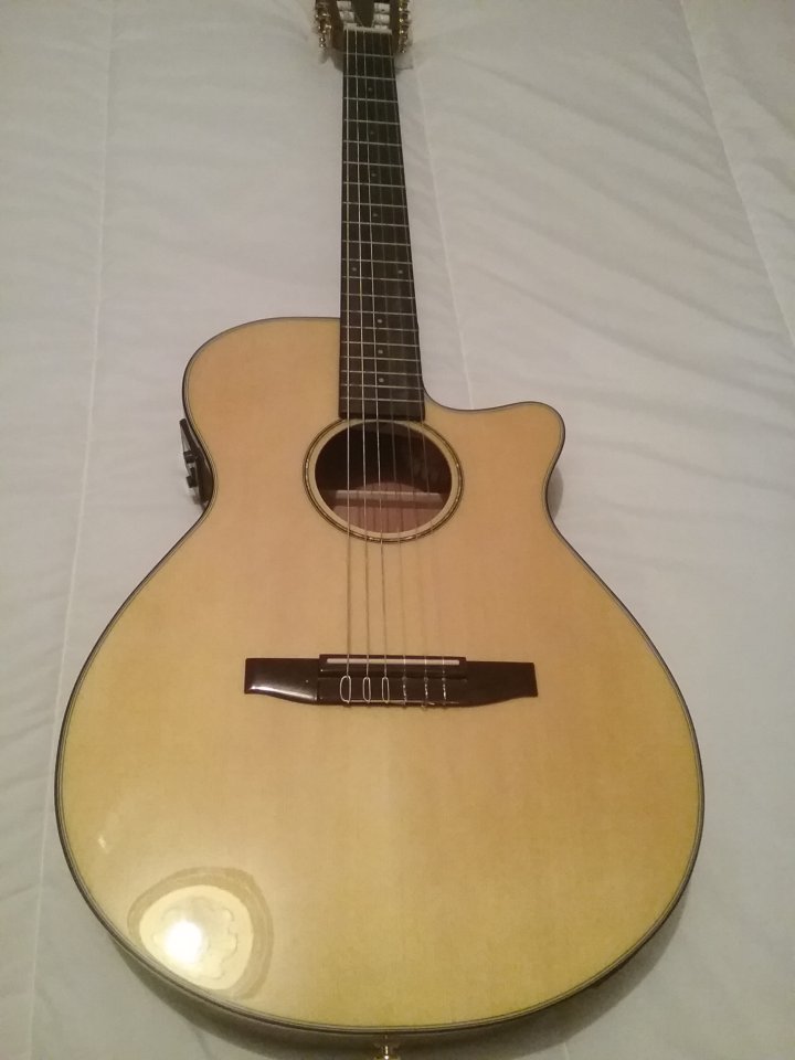 Ibanez AEG 50N