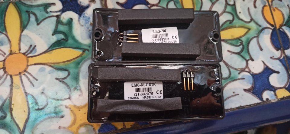 set EMG 707 y 81-7 (sin circuitería) de segunda mano · Foto 1 de 2 · Sevilla · 130 €