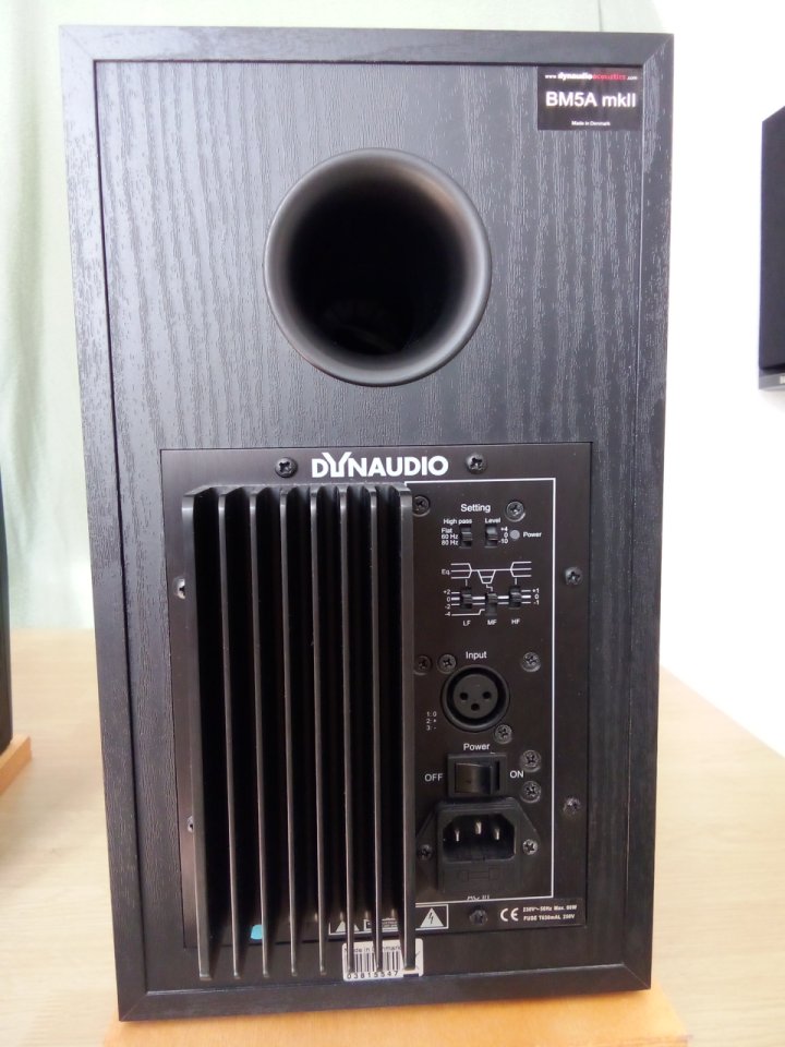 Monitores Dynaudio BM5A MKII