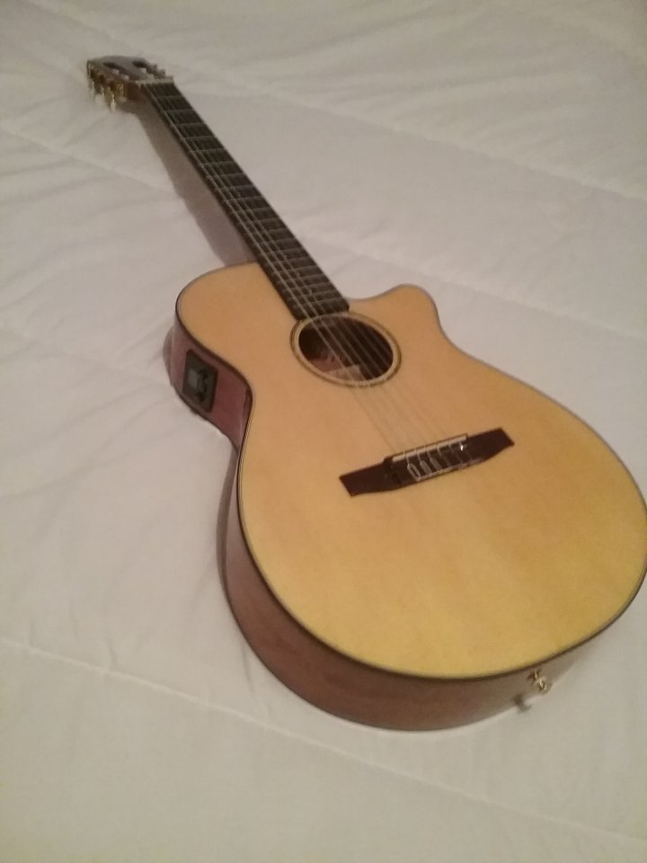 Ibanez AEG 50N