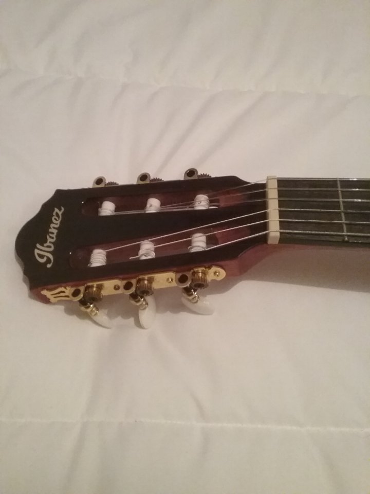 Ibanez AEG 50N