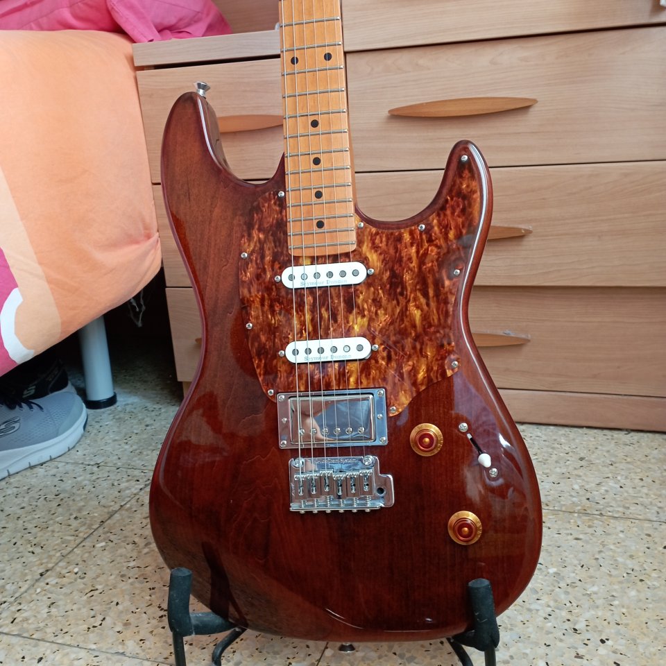 Godin Session T-Pro Ltd Kanyon Burst Stratocaster de segunda mano · Foto 1 de 6 · Pontevedra · 1000 €