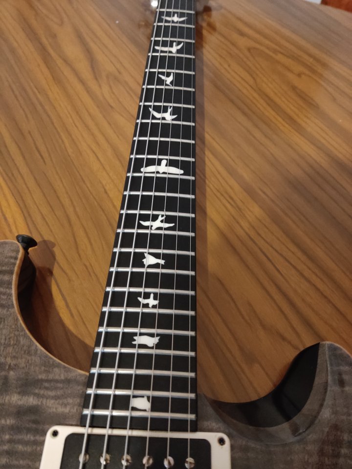 PRS CE 24 Semi-Hollow – Excelente estado – Grey