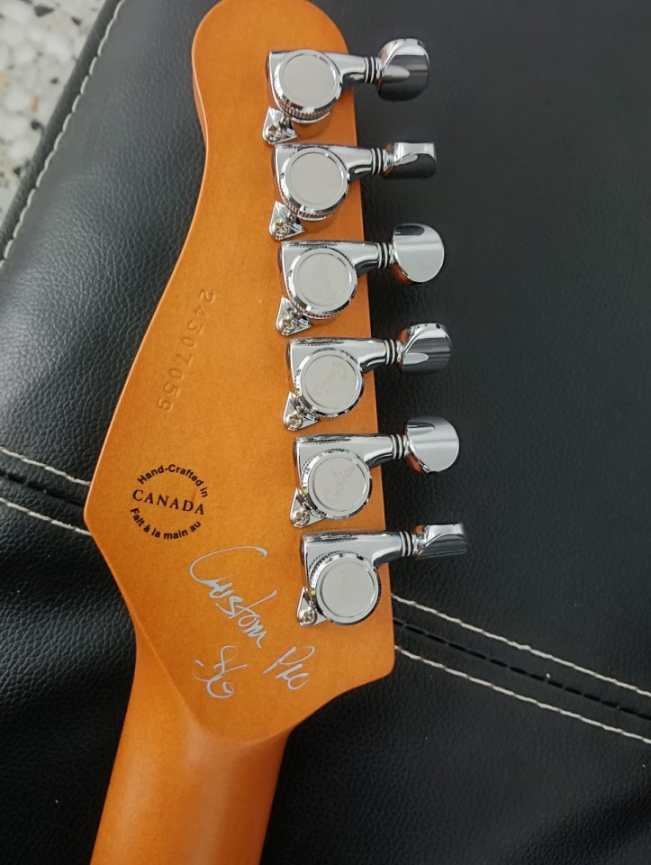 Godin Session T-Pro Ltd Kanyon Burst Stratocaster de segunda mano · Foto 2 de 6 · Pontevedra · 1000 €