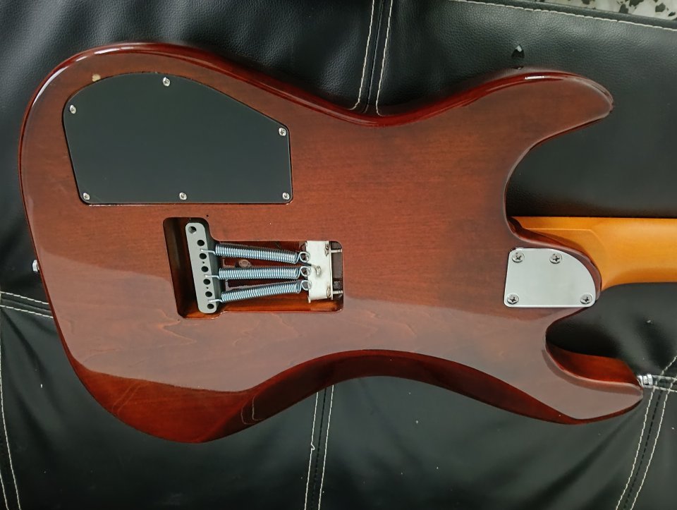 Godin Session T-Pro Ltd Kanyon Burst Stratocaster de segunda mano · Foto 3 de 6 · Pontevedra · 1000 €