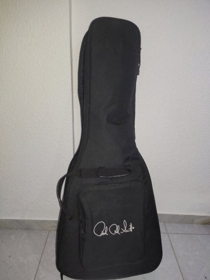 PRS CE 24 Semi-Hollow – Excelente estado – Grey