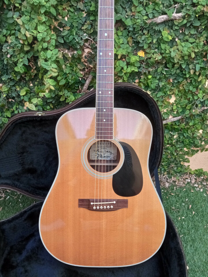 Takamine Glenn Frey