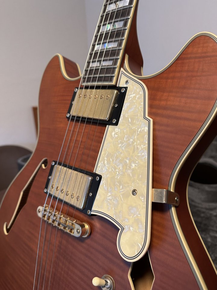 D'Angelico Deluxe DC, edición limitada numero 12 de 50. de segunda mano · Foto 4 de 10 · Bizkaia · 1800 €