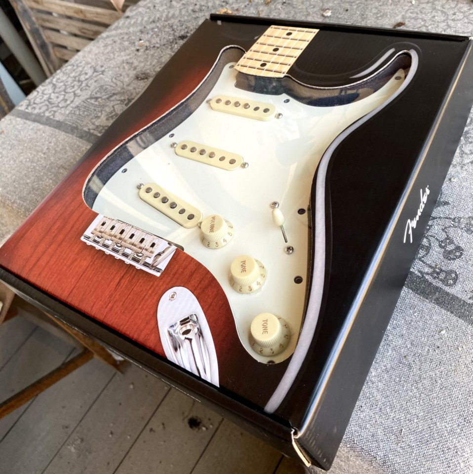 Kit Pastillas + Golpeador Fender Custom Shop '69