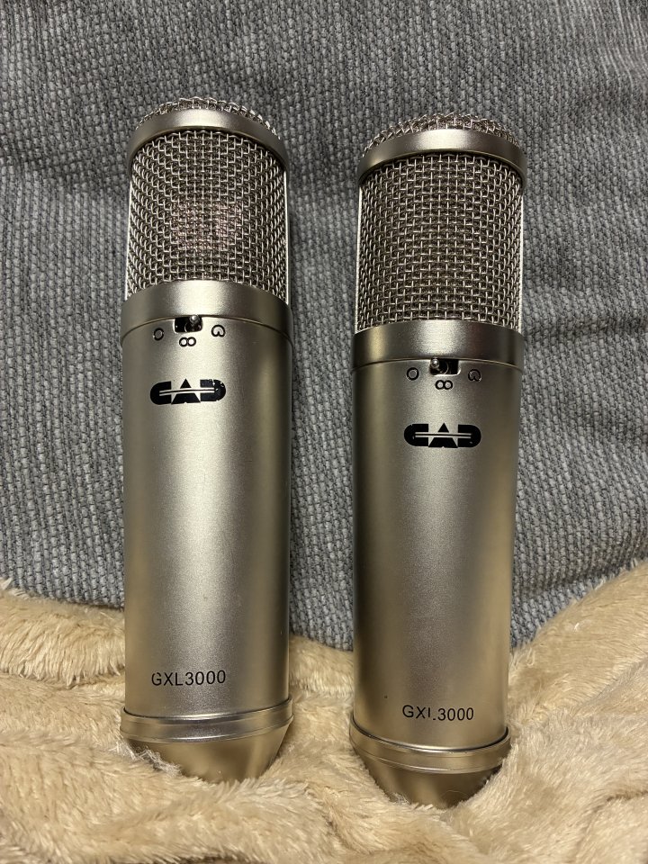 Pareja de micrófonos SE electronics SE1000