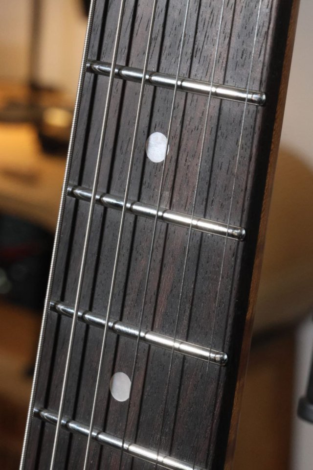 Moreno Partscaster Tele