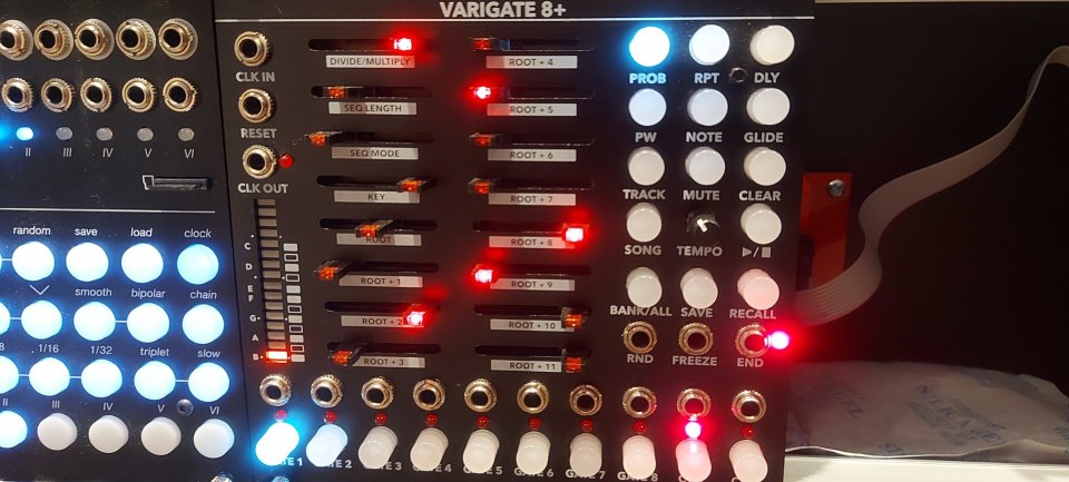 Malekko Varigate 8+ de segunda mano · Foto 7 de 8 · Barcelona · 350 €