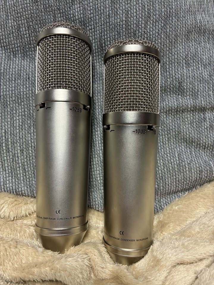 Pareja de micrófonos SE electronics SE1000