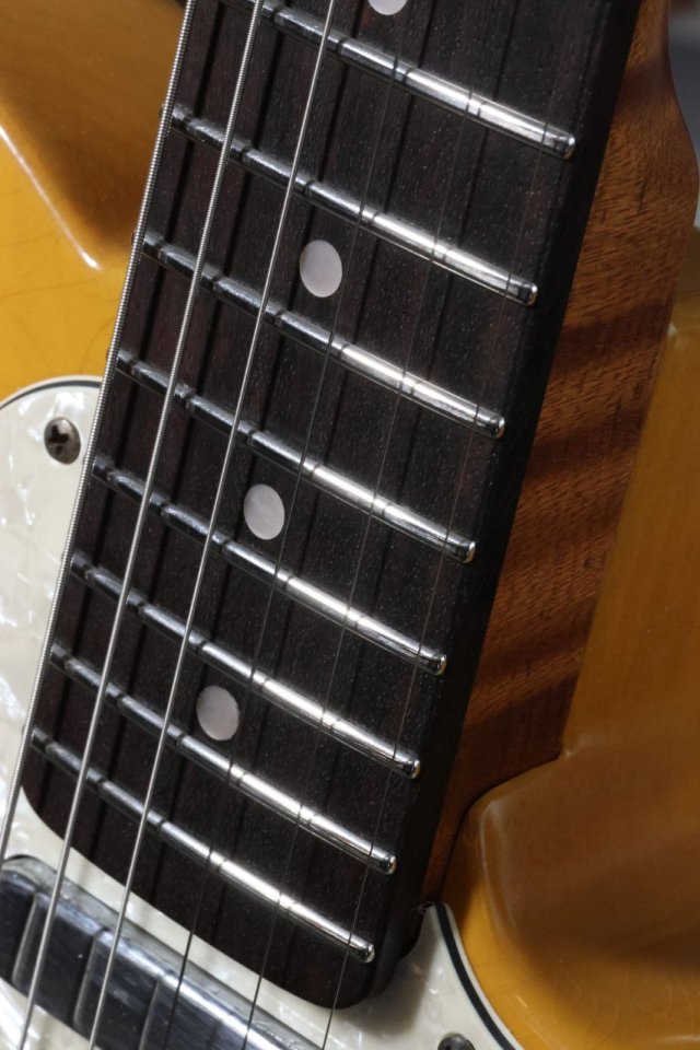 Moreno Partscaster Tele