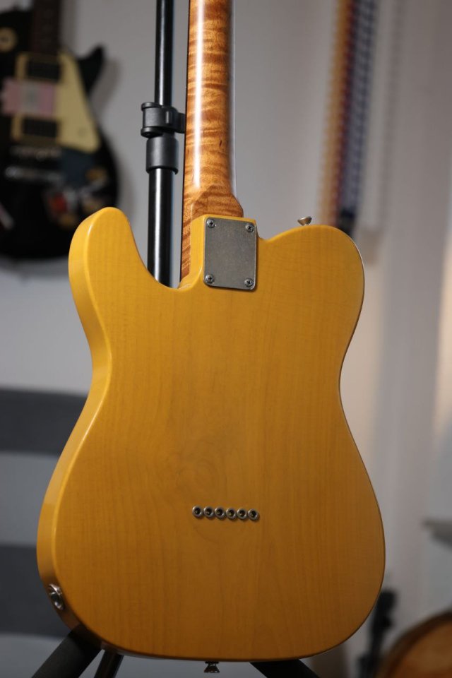 Moreno Partscaster Tele
