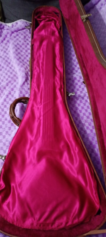 Gibson flying v gothic