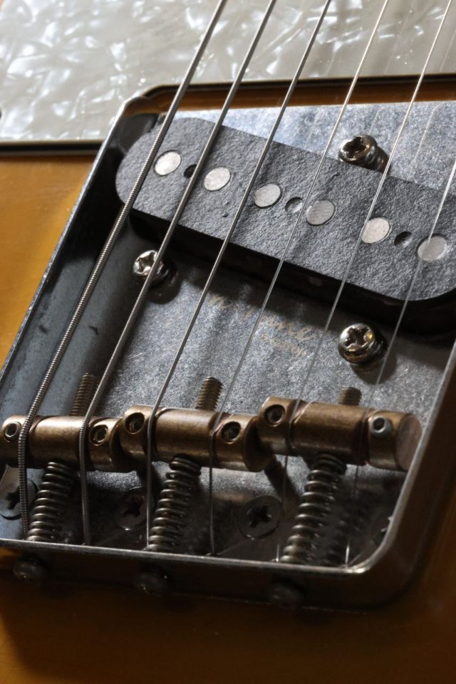 Moreno Partscaster Tele