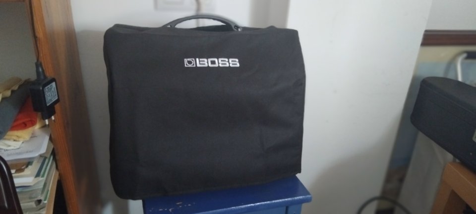 Boss Acoustic Singer LT