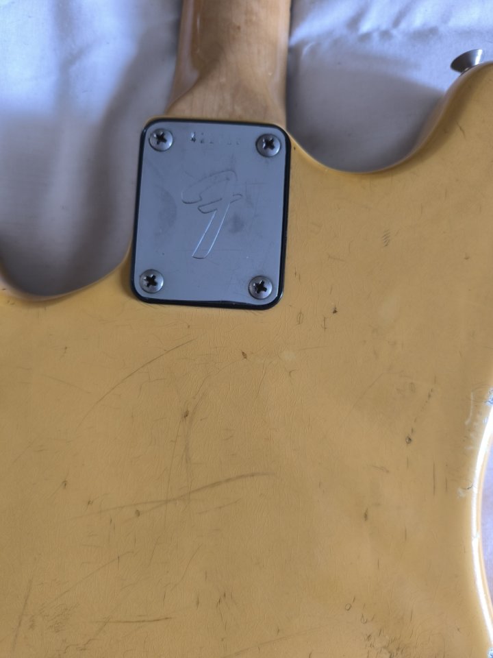 Fender Musicmaster 1973