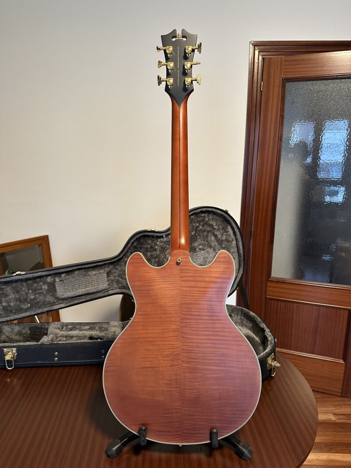 D'Angelico Deluxe DC, edición limitada numero 12 de 50. de segunda mano · Foto 6 de 10 · Bizkaia · 1800 €