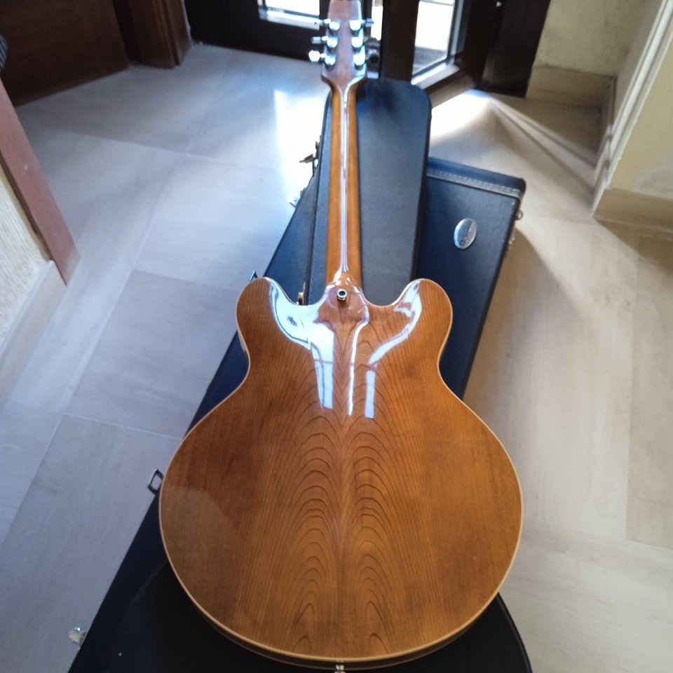 Guitarra Vantage VSH-455 Matsumoku de segunda mano · Foto 6 de 10 · Córdoba · 550 €