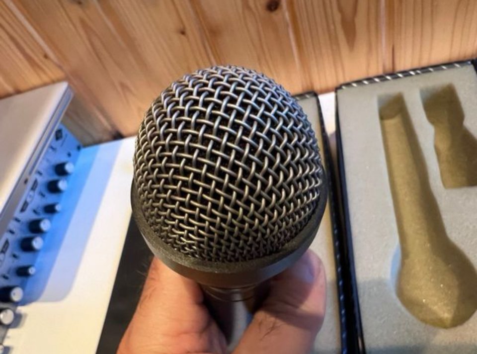 Par de Microfonos AKG D 310 vintage