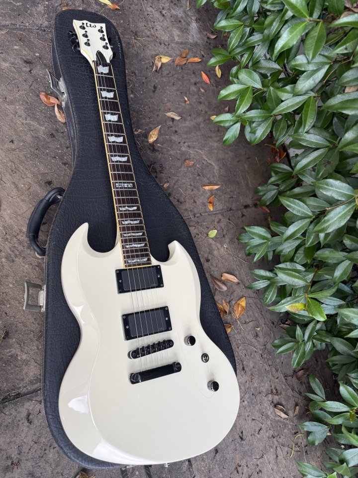 ESP LTD VIPER 400 de segunda mano · Foto 1 de 8 · Cantabria · 350 €