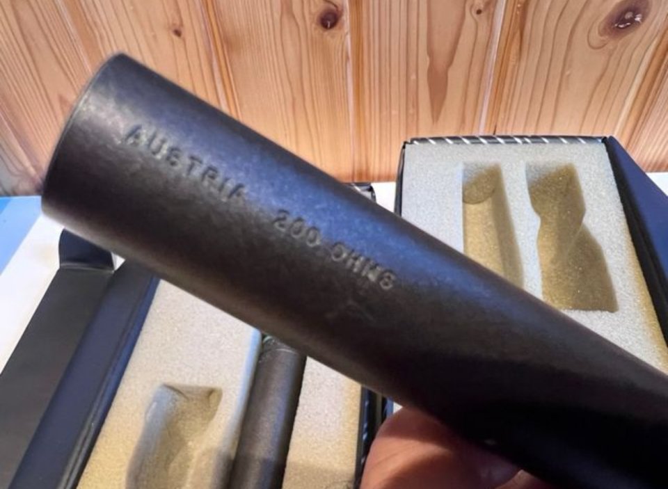 Par de Microfonos AKG D 310 vintage