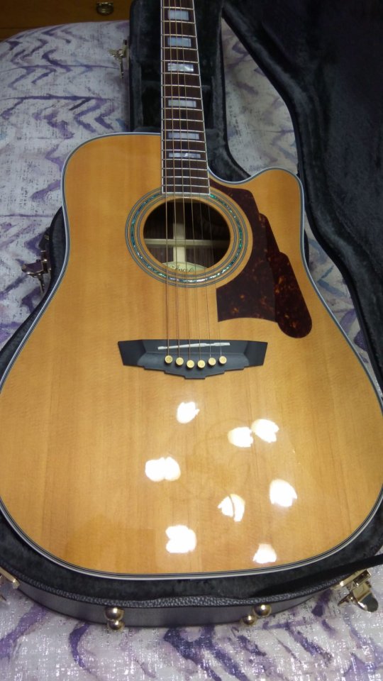 D’Angelico Bowery tope de gama