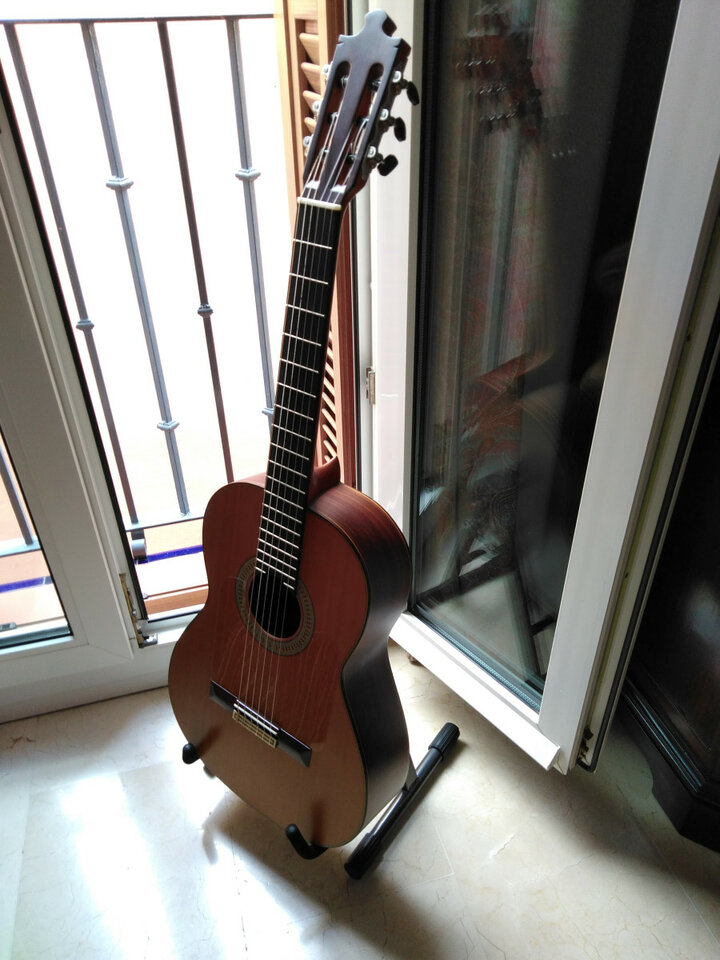 Guitarra española