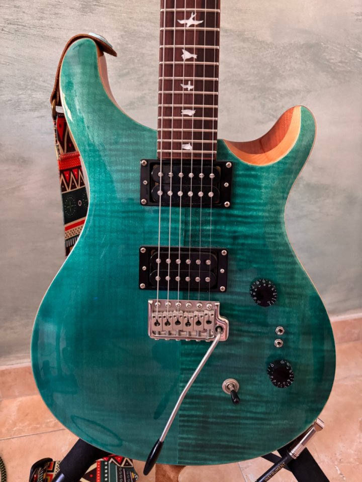 PRS se Custom 24 08 de segunda mano · Foto 1 de 7 · Valencia · 700 €
